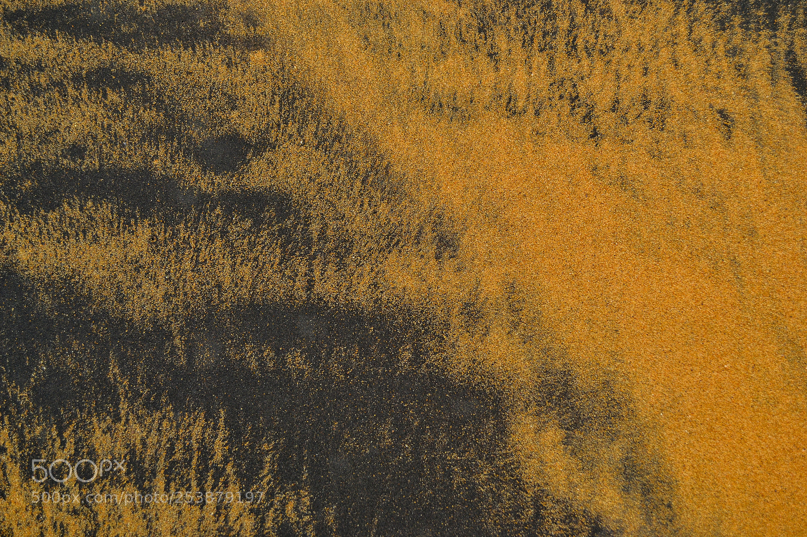 Nikon D3100 sample photo. Shades of sand photography