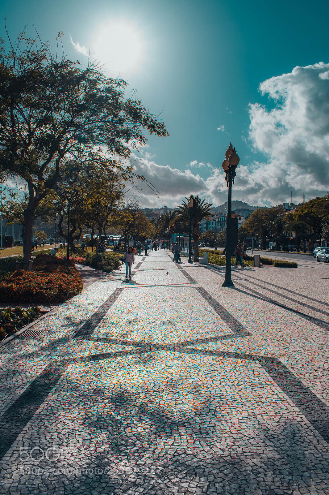 Nikon D3300 sample photo. Amazing day photography