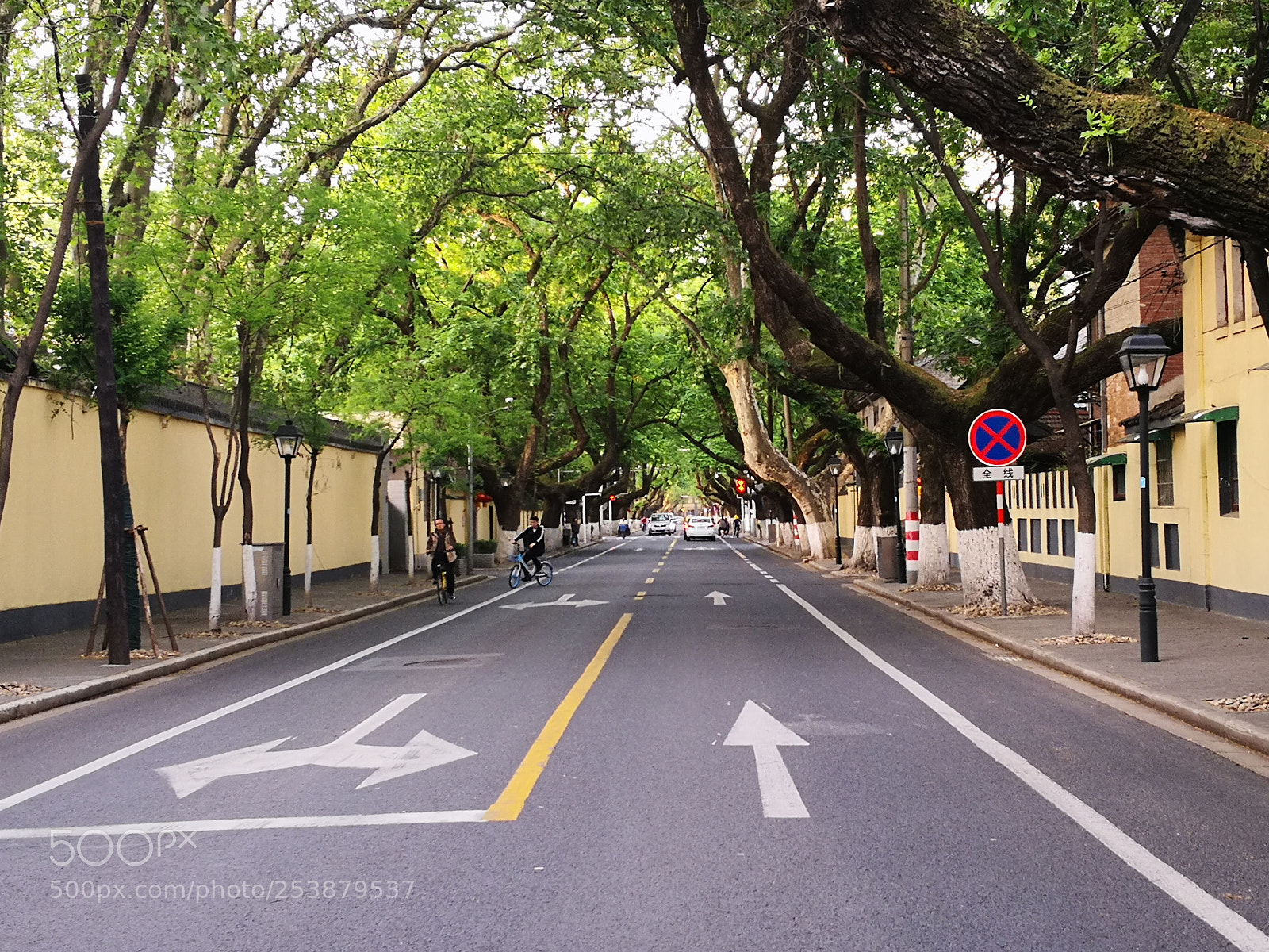 HUAWEI Mate 10 Pro sample photo. 颐和路 photography