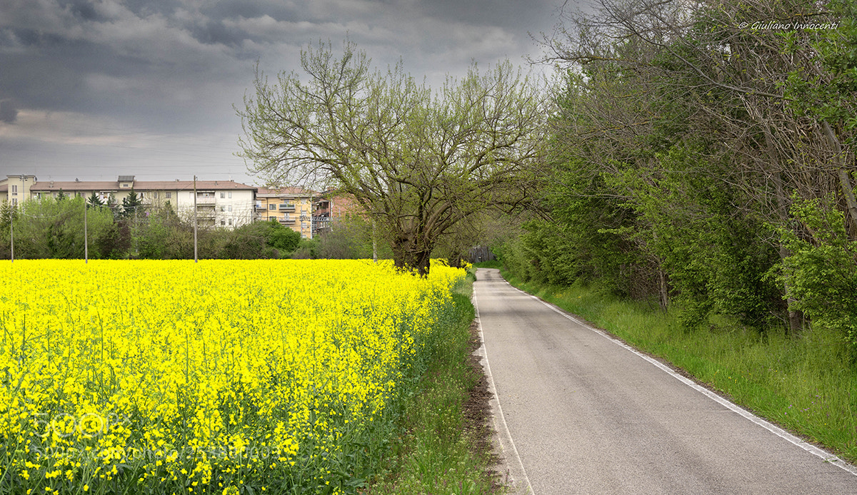 Nikon D7200 sample photo. A road outside the photography