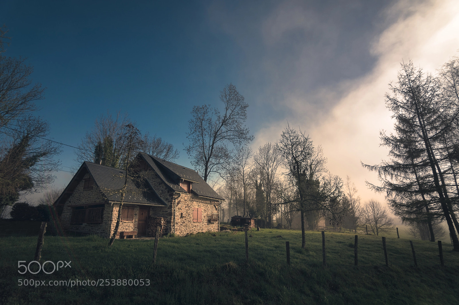 Nikon D5500 sample photo. Morning sun photography