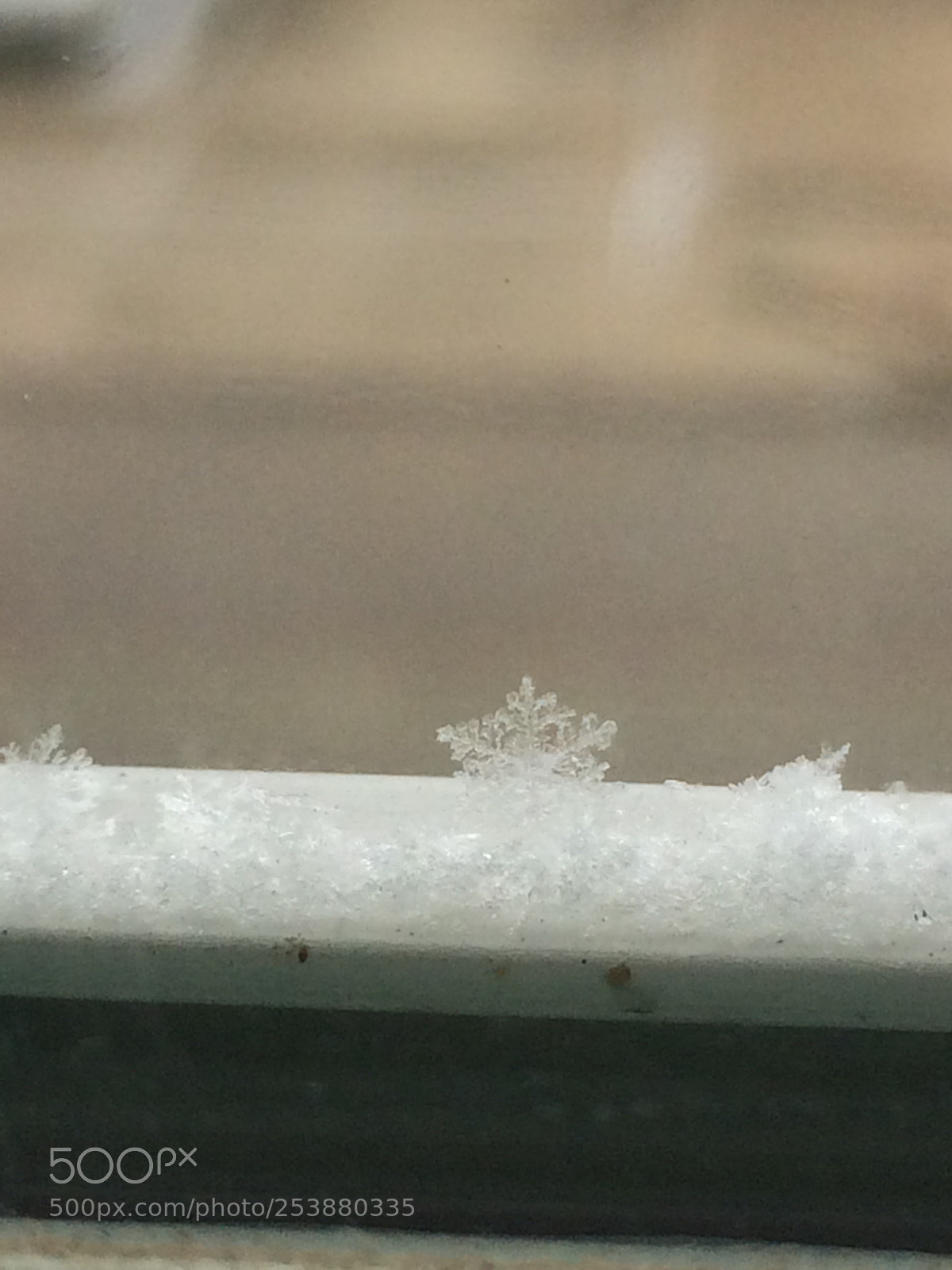 Apple iPhone 5s sample photo. Perfect flake  photography