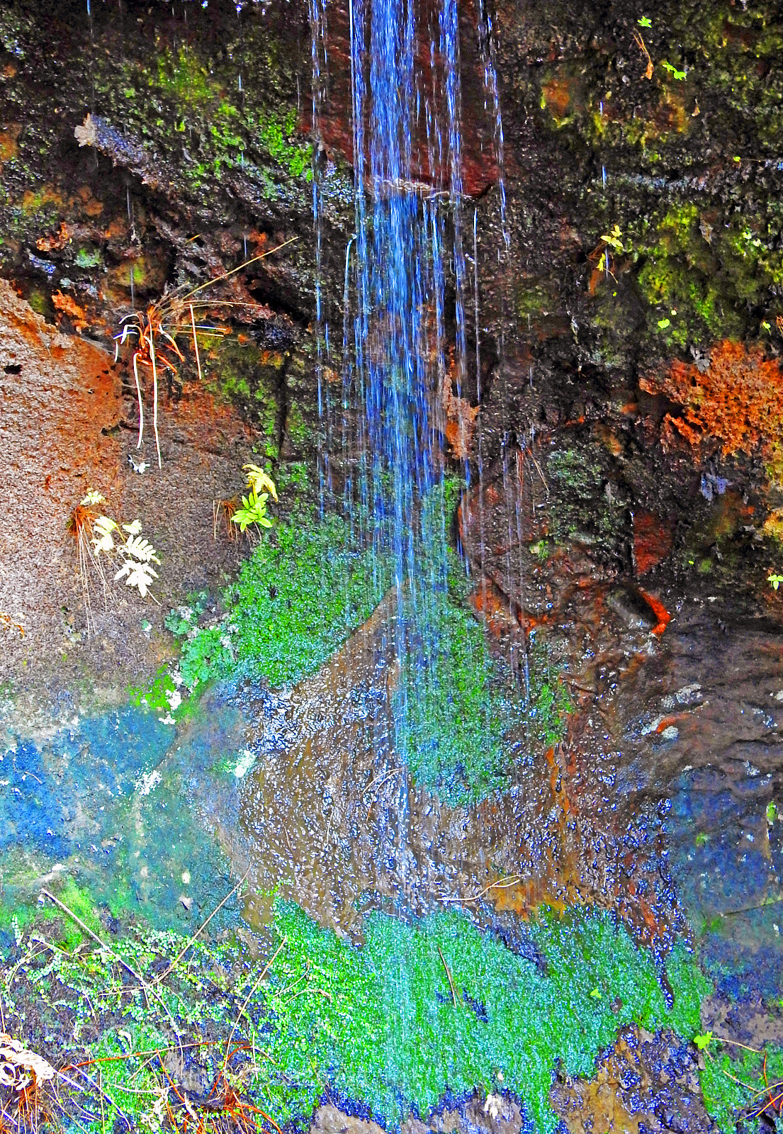 Nikon Coolpix P900 sample photo. Cascada photography