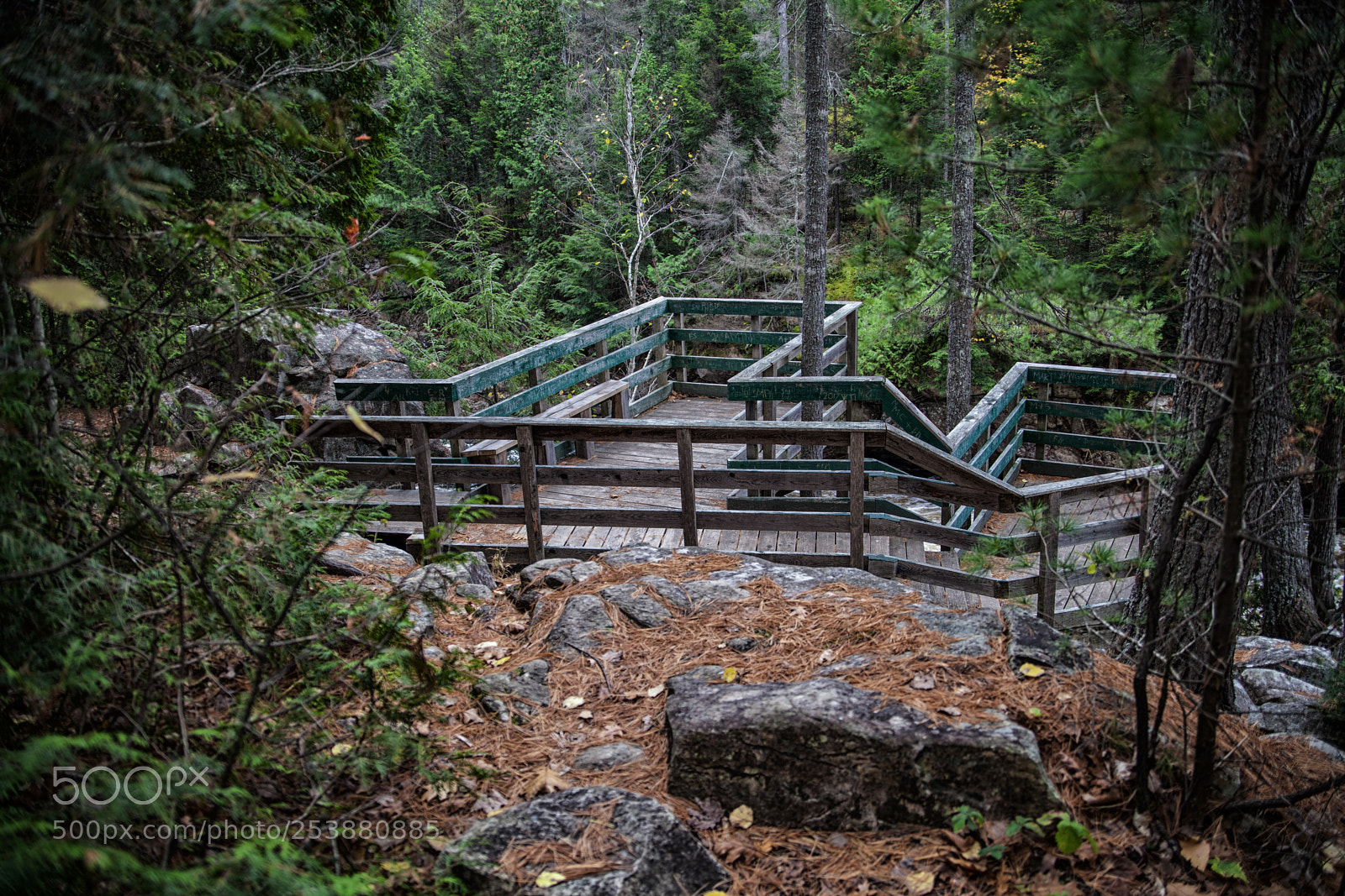 Canon EOS 5D Mark II sample photo. An observation platform photography