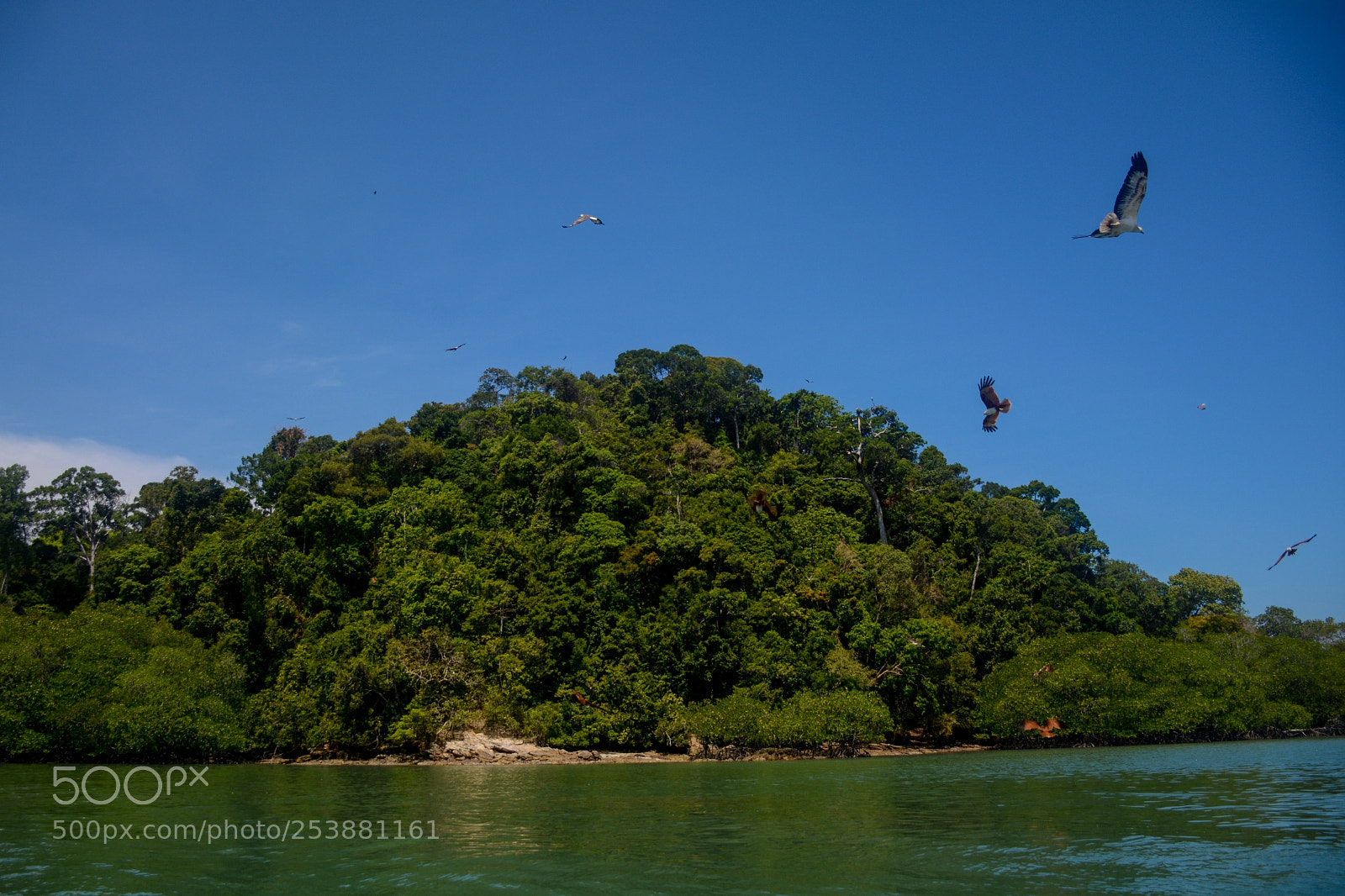 Nikon D7100 sample photo. Eagle island photography