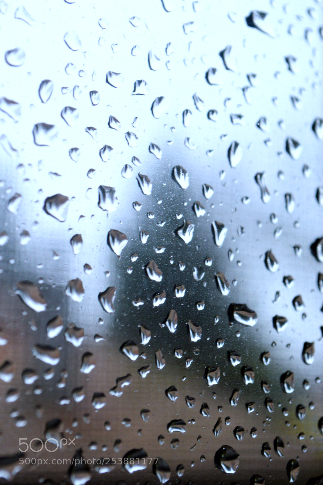 Nikon D3200 sample photo. Raindrops photography