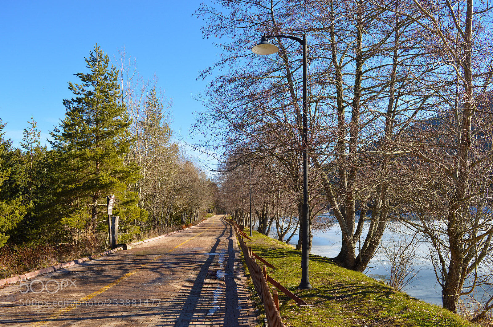 Nikon D3200 sample photo. Bolu photography