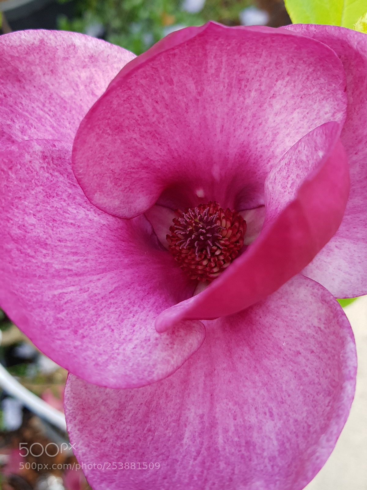 Samsung Galaxy S8 sample photo. Untitled photography