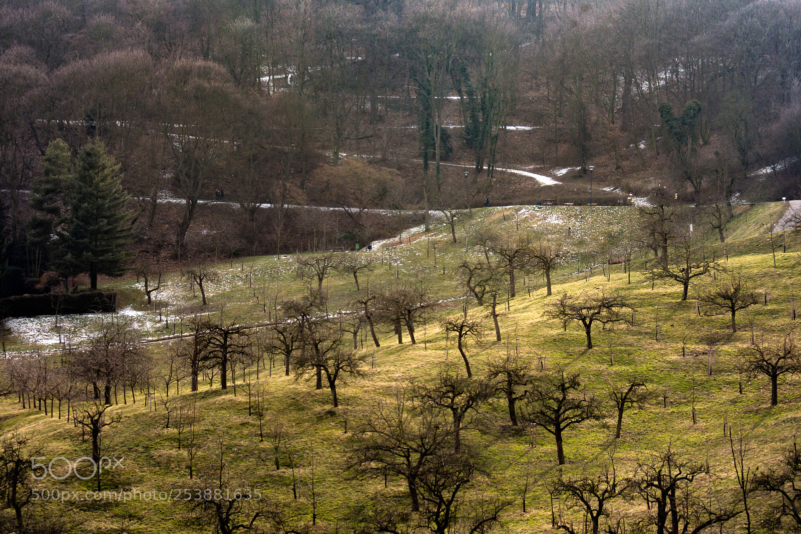 Nikon D7200 sample photo. Long lens landscape in photography