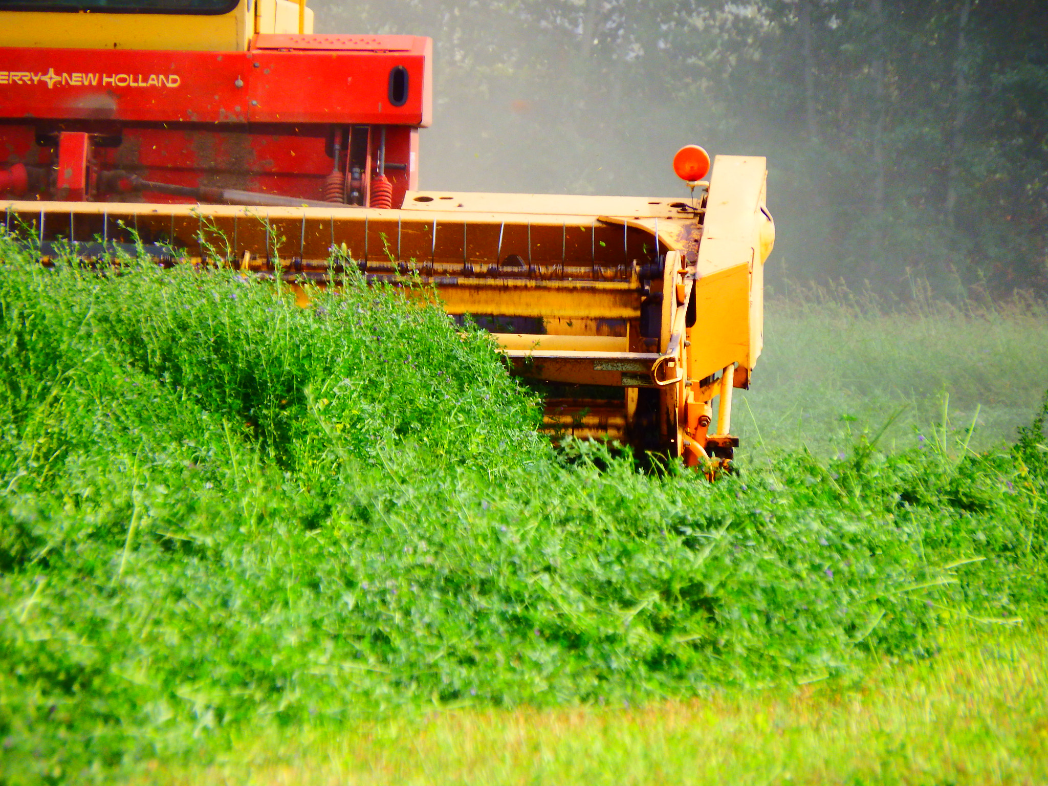 Fujifilm FinePix SL1000 sample photo. Cutting the hay photography