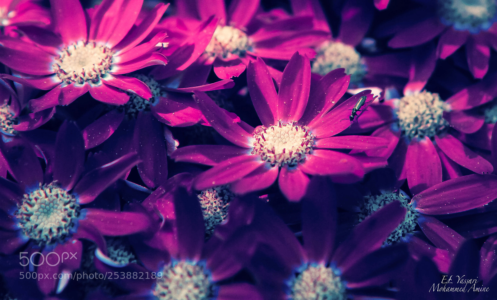 Canon EOS 7D sample photo. ? photography