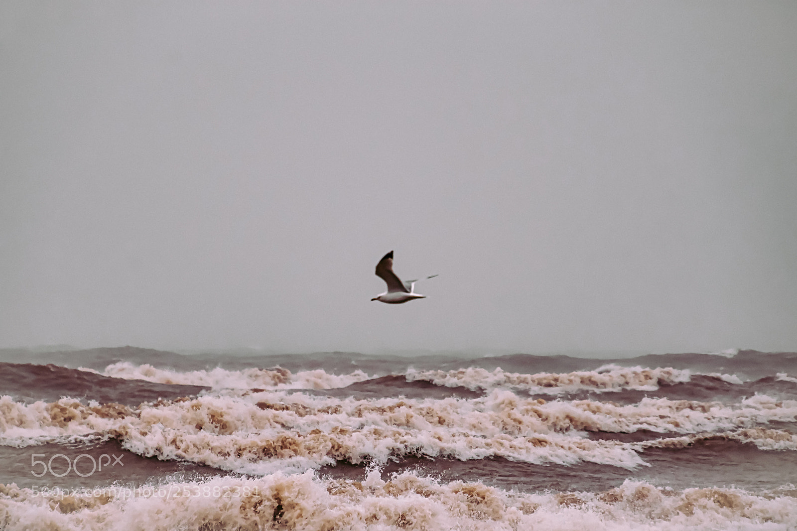 Nikon D7200 sample photo. Wild waves photography