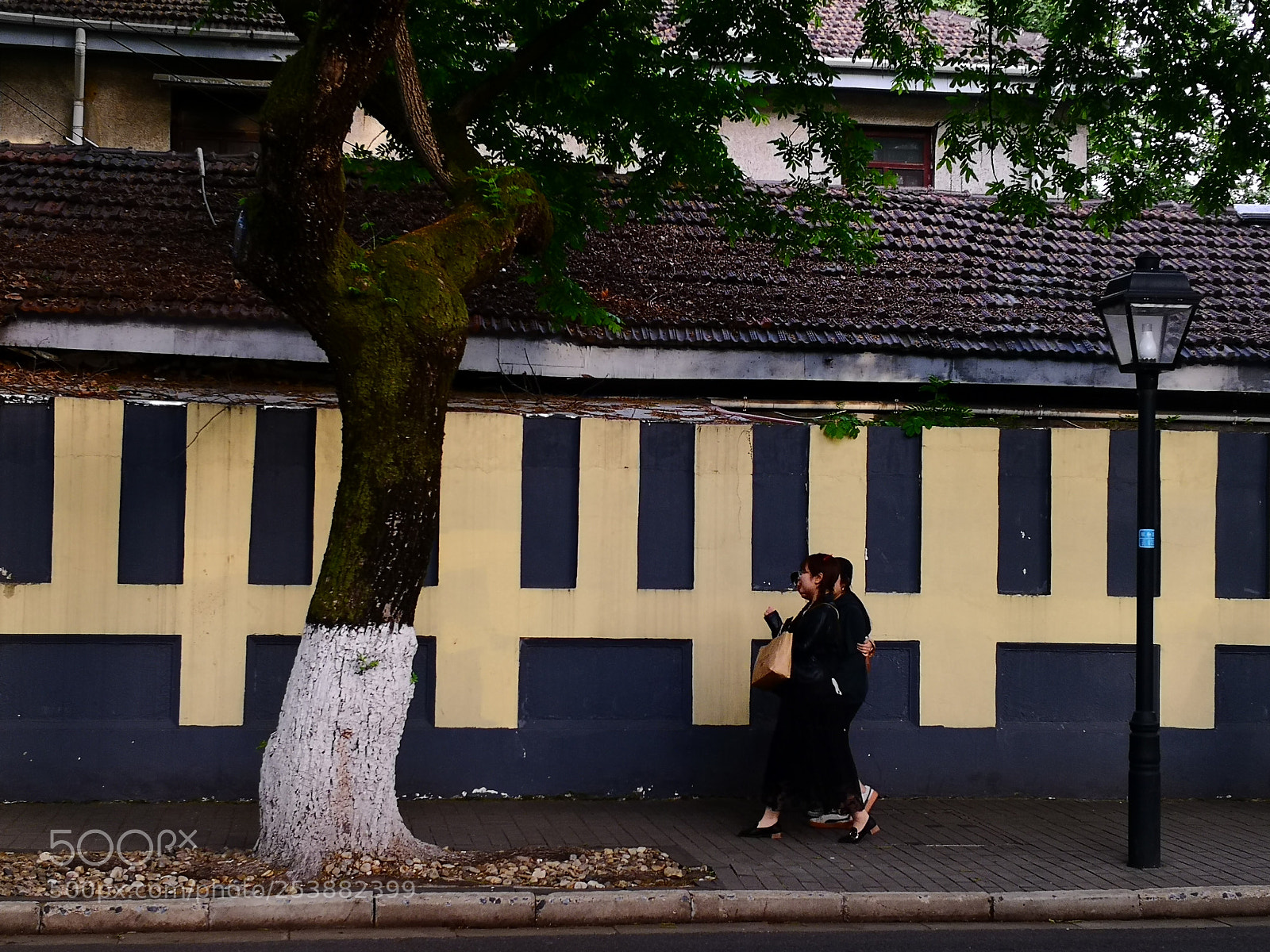HUAWEI Mate 10 Pro sample photo. Untitled photography