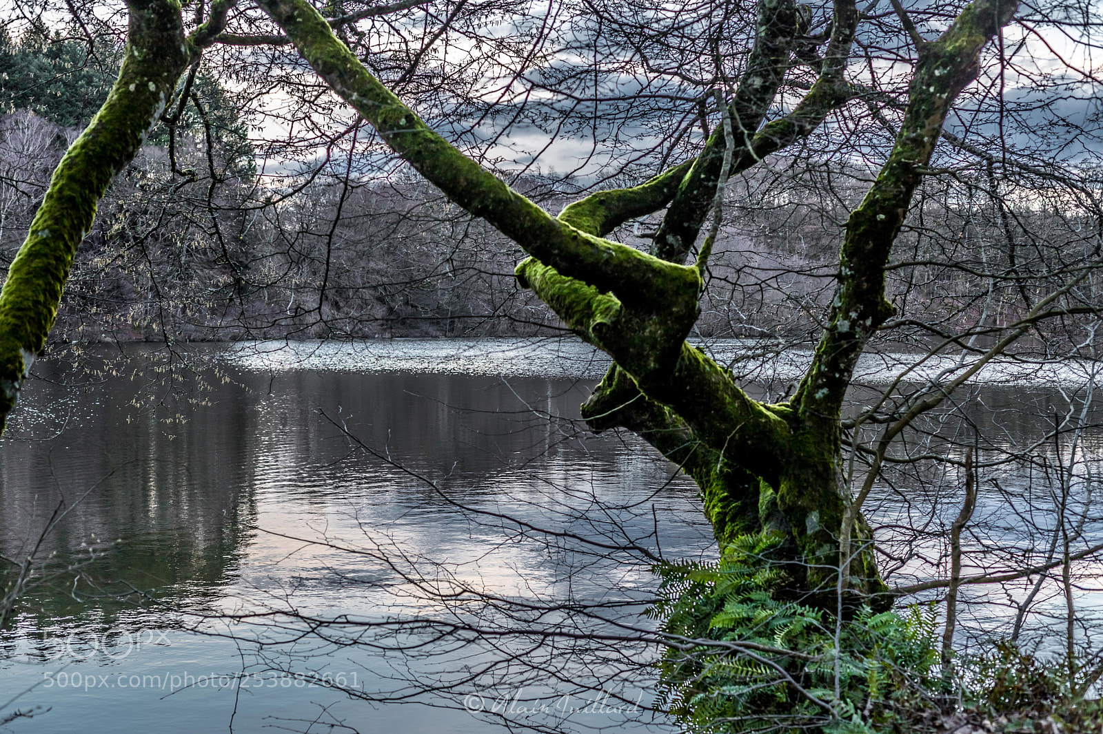 Canon EOS 6D Mark II sample photo. Mysterious lake photography