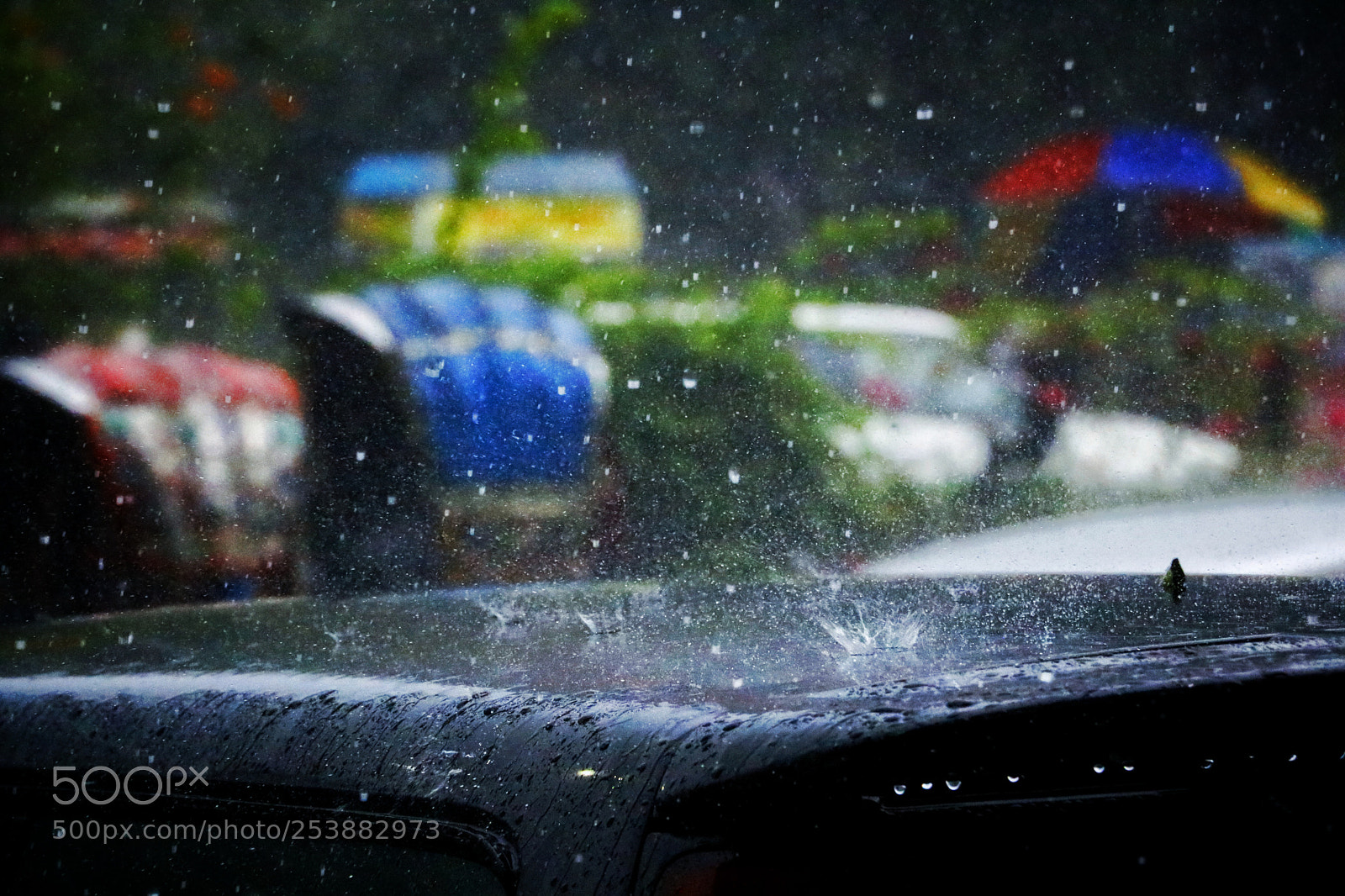 Canon EOS 750D (EOS Rebel T6i / EOS Kiss X8i) sample photo. Raindrops photography