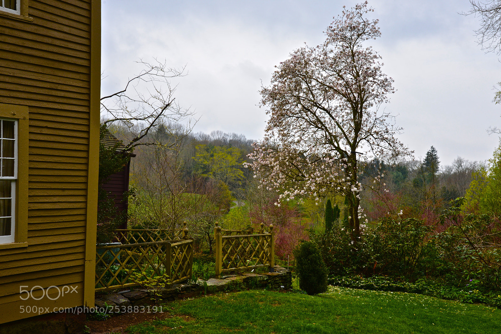 Nikon D600 sample photo. A country walk photography