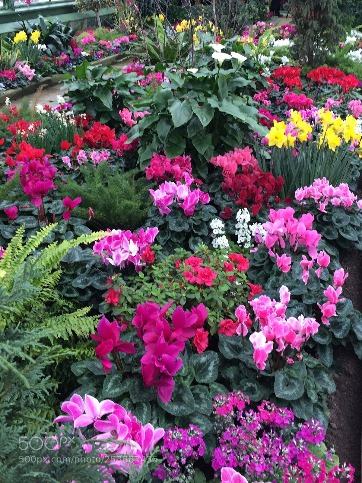 Apple iPhone 5s sample photo. Bounty  photography