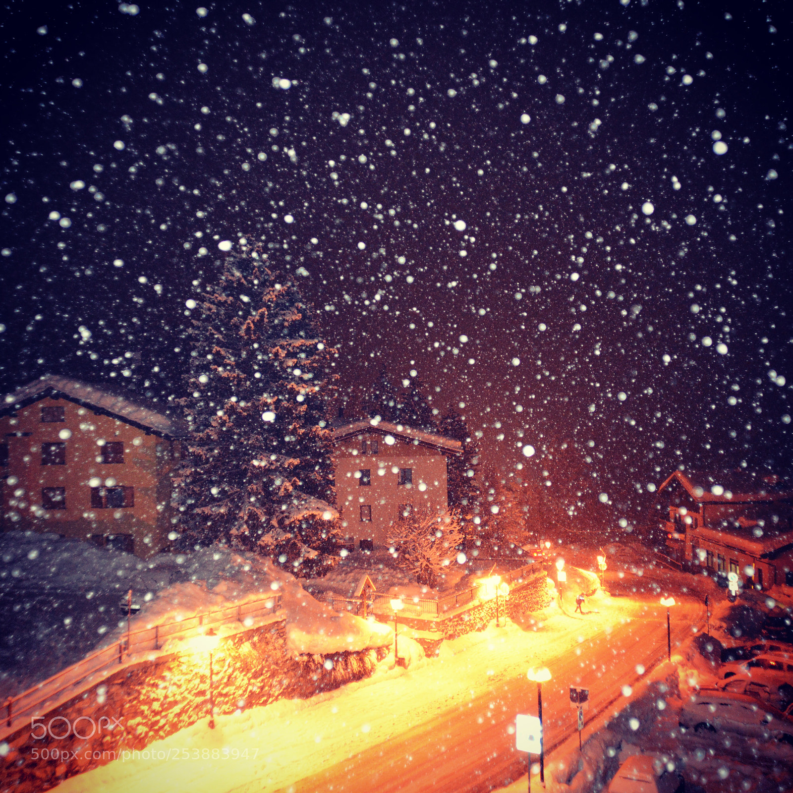 Nikon D600 sample photo. Winter wonderland  photography