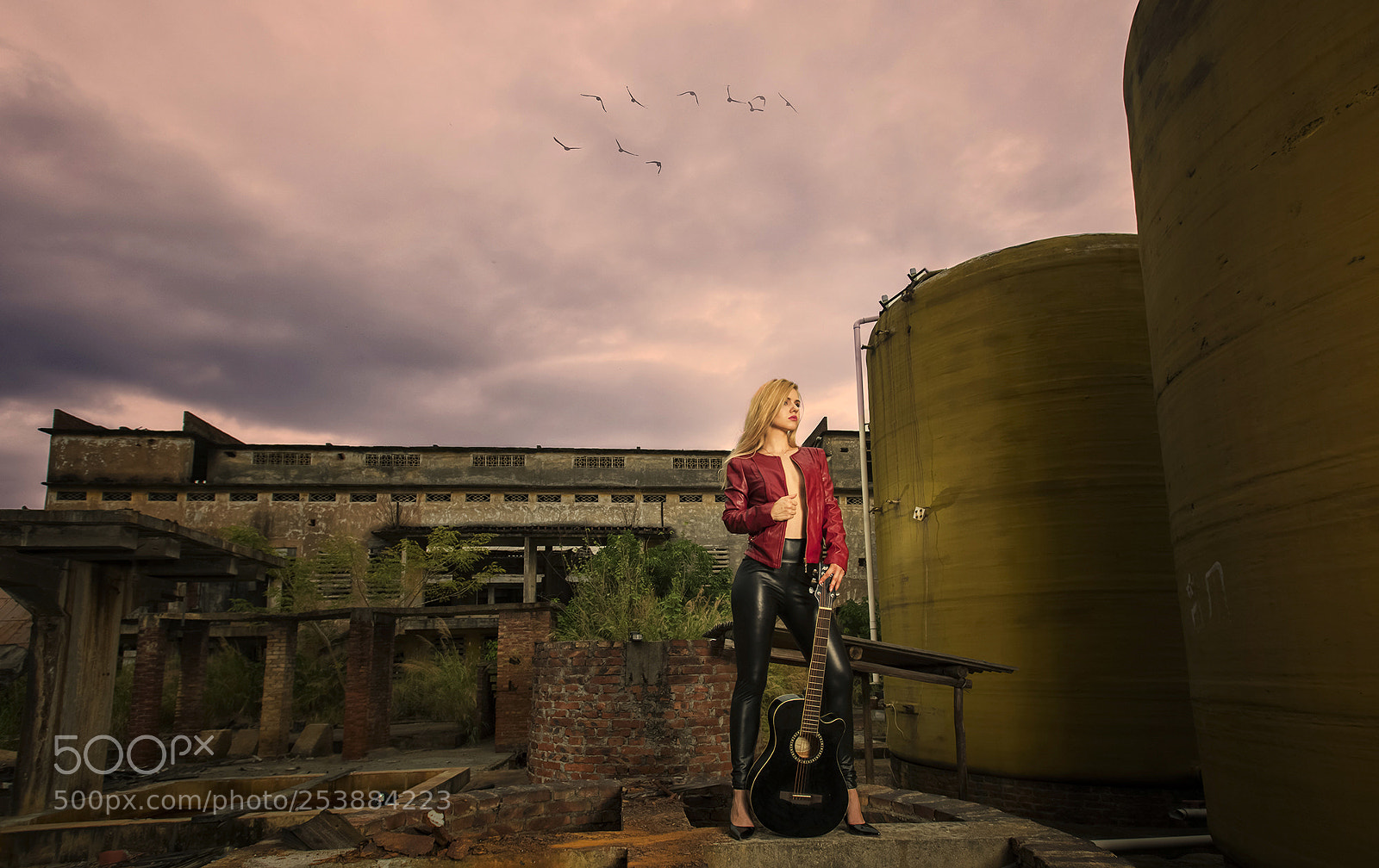 Nikon D810 sample photo. Singer photography