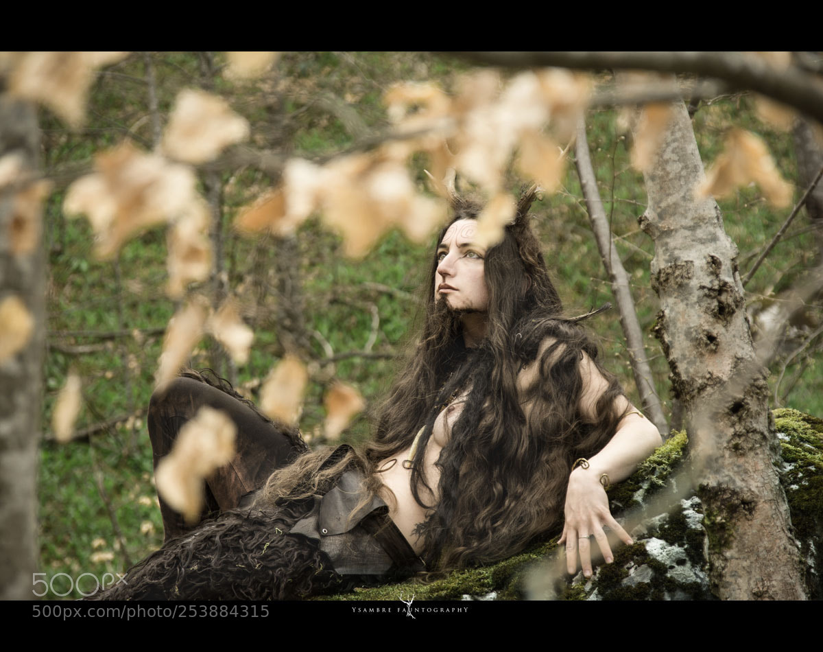 Nikon D7100 sample photo. La tendresse du faune photography