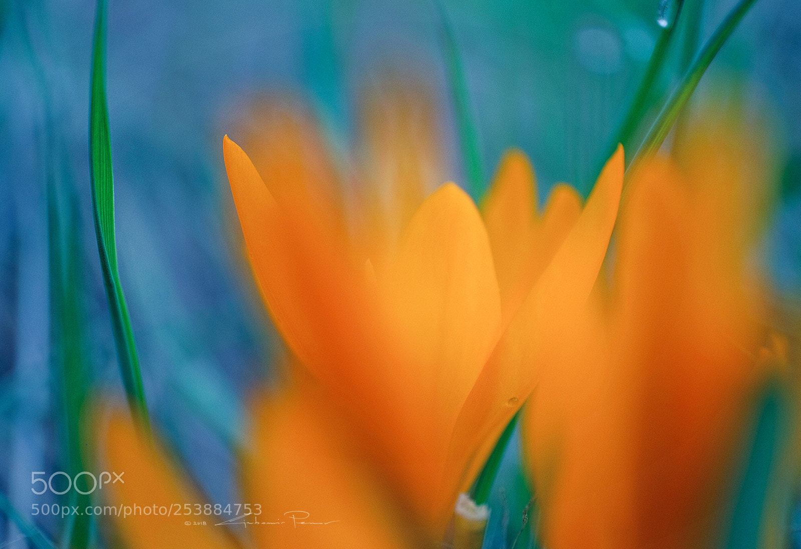 Fujifilm X-T1 sample photo. Colourful photography