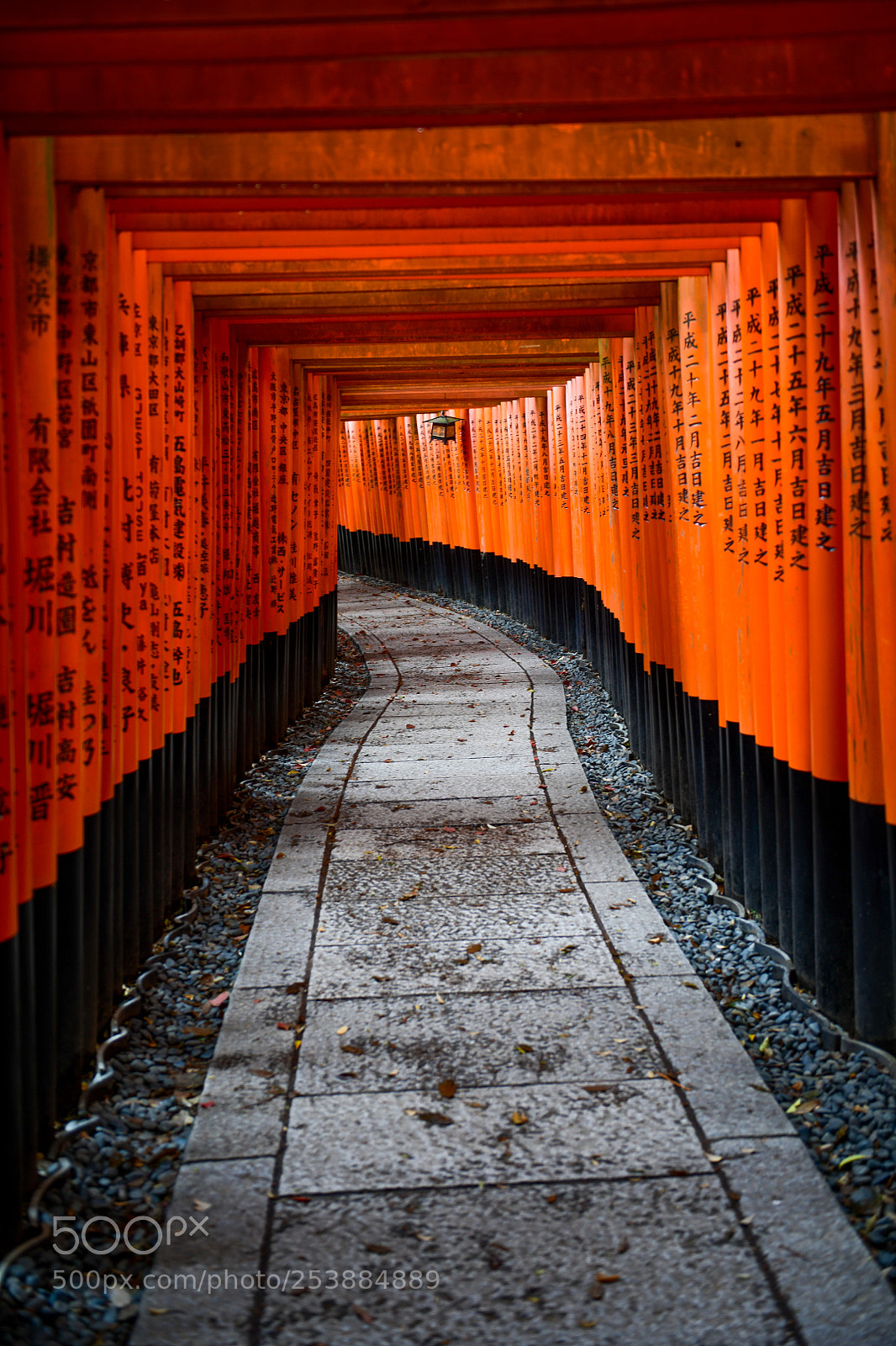 Nikon D850 sample photo. 稻荷神社鳥居 photography
