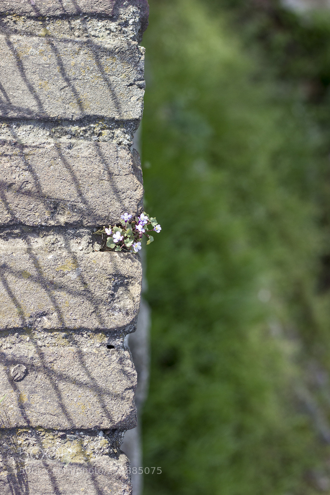 Canon EOS 600D (Rebel EOS T3i / EOS Kiss X5) sample photo. Hope photography