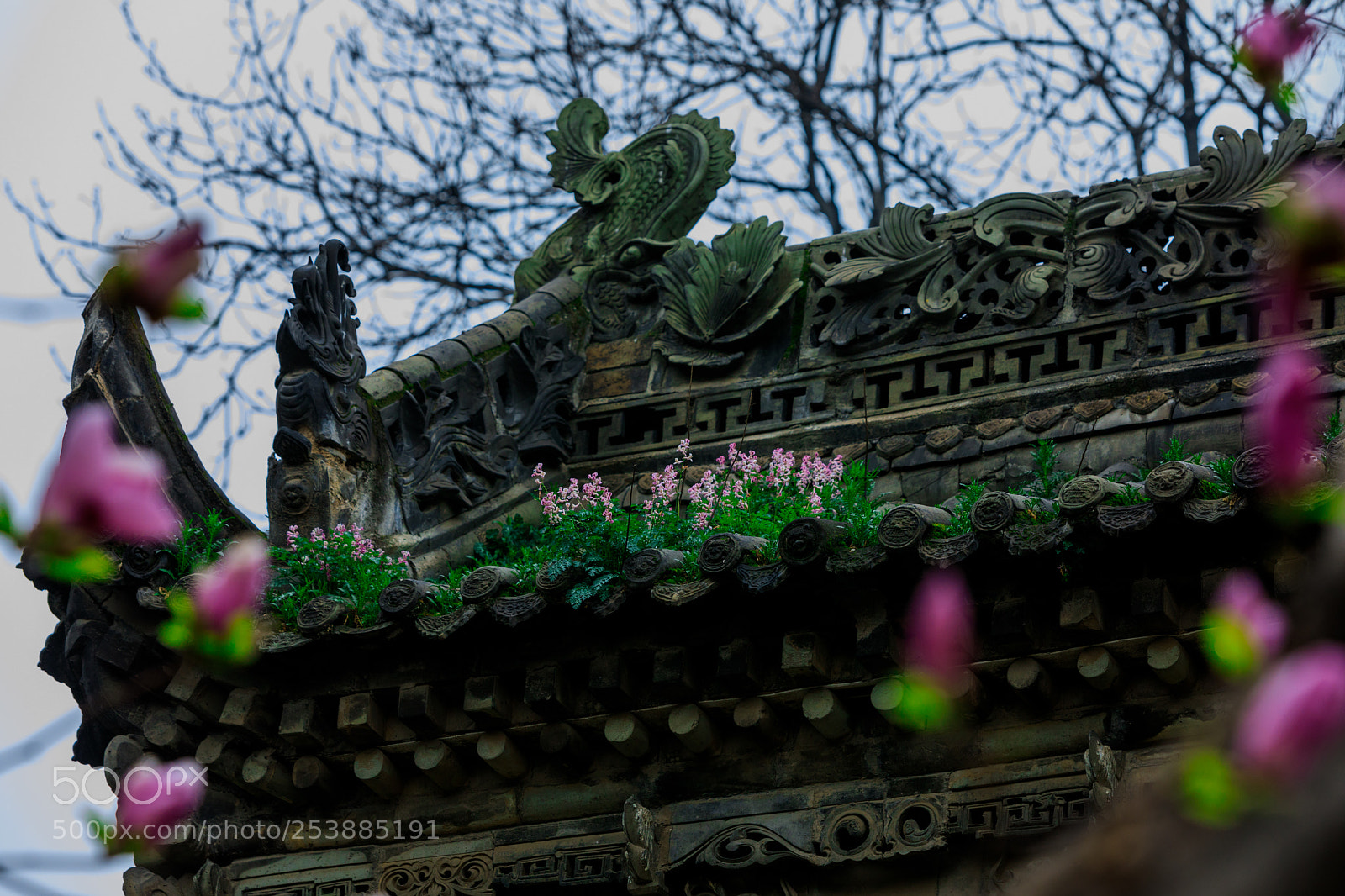 Canon EOS 5D Mark IV sample photo. 故园春色 photography