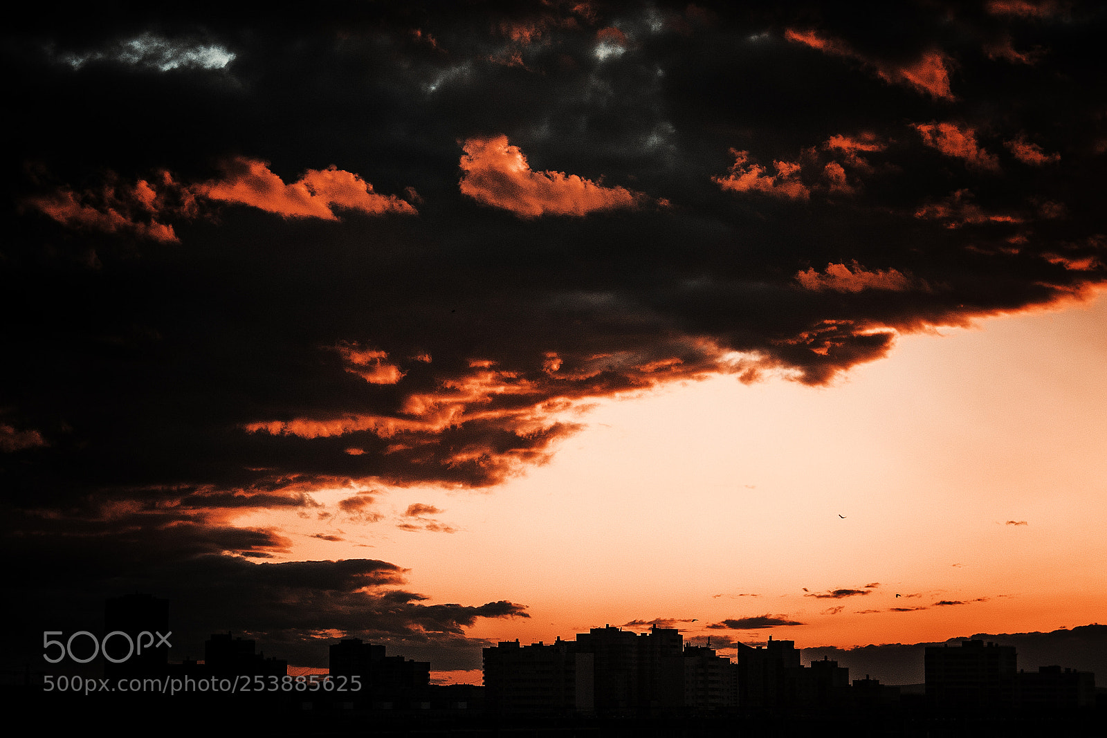 Canon EOS 650D (EOS Rebel T4i / EOS Kiss X6i) sample photo. Twilight photography