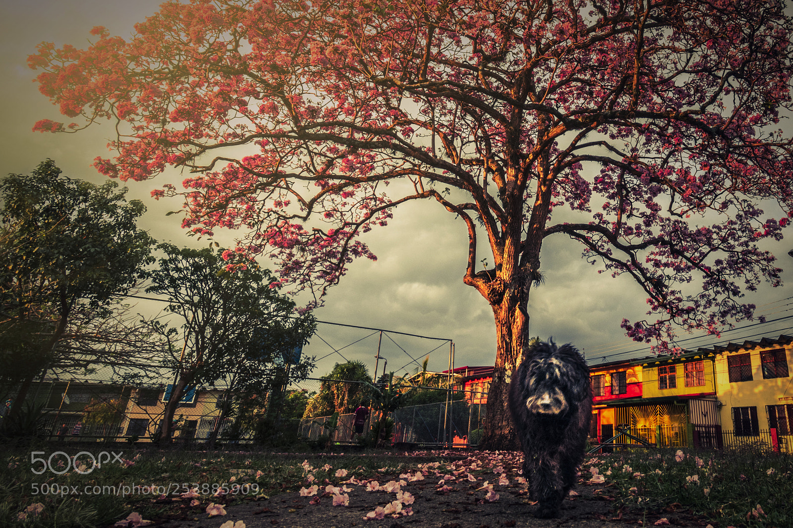 Nikon D3400 sample photo. Untitled photography