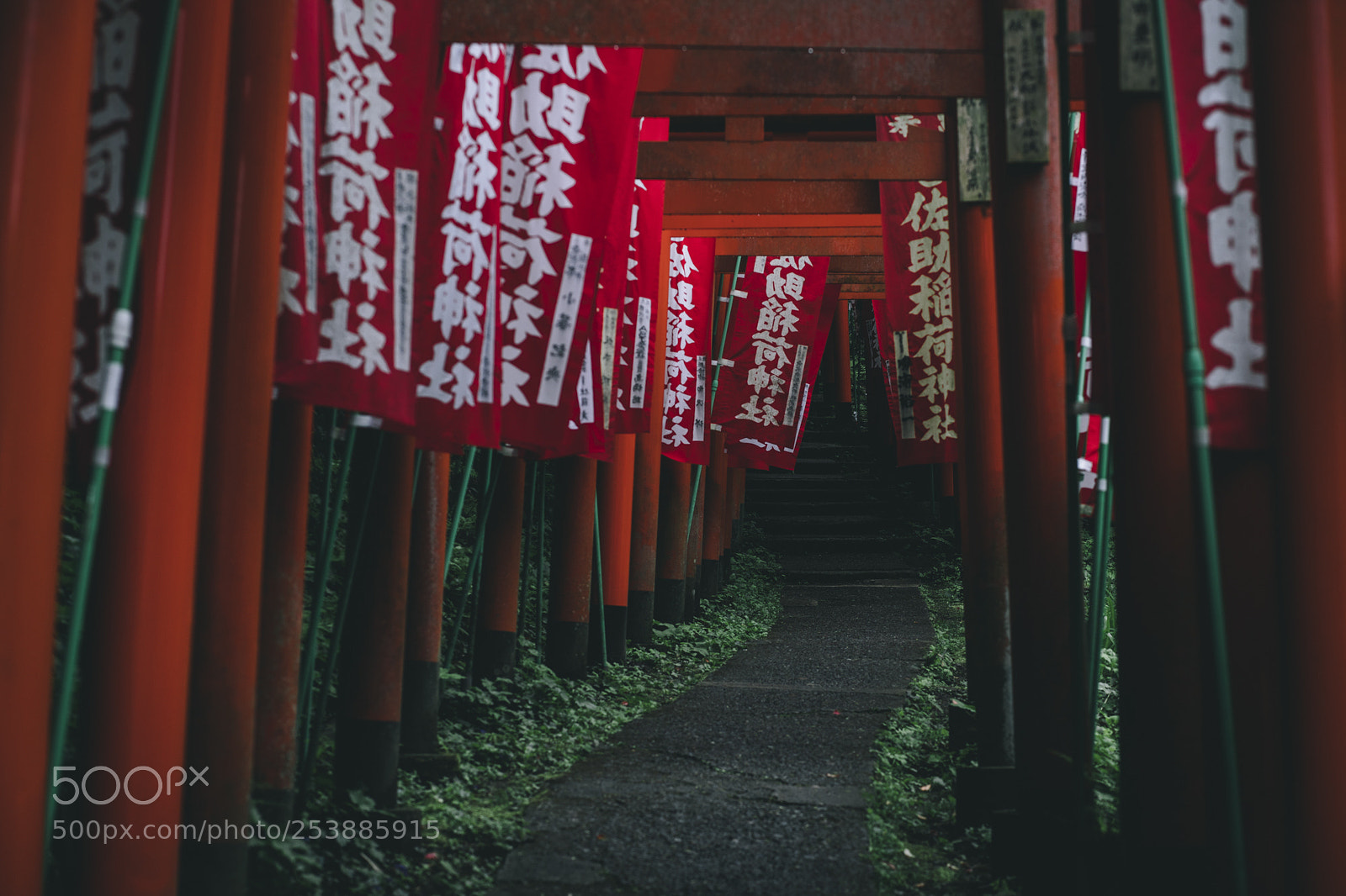 Canon EOS 6D Mark II sample photo. Entrance photography