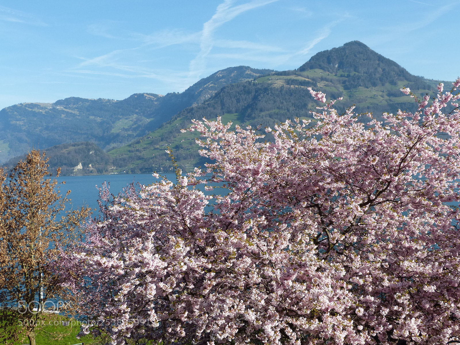 Panasonic DMC-FZ62 sample photo. Vierwaldst ttersee - switzerland photography