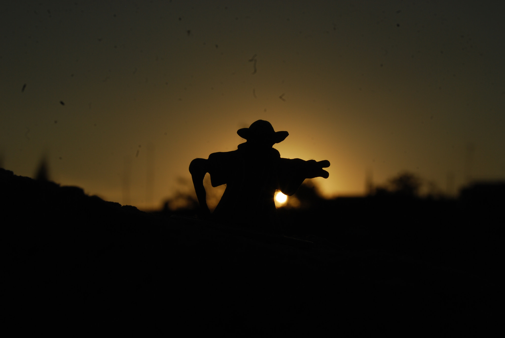 Nikon D40X sample photo. Yoda photography