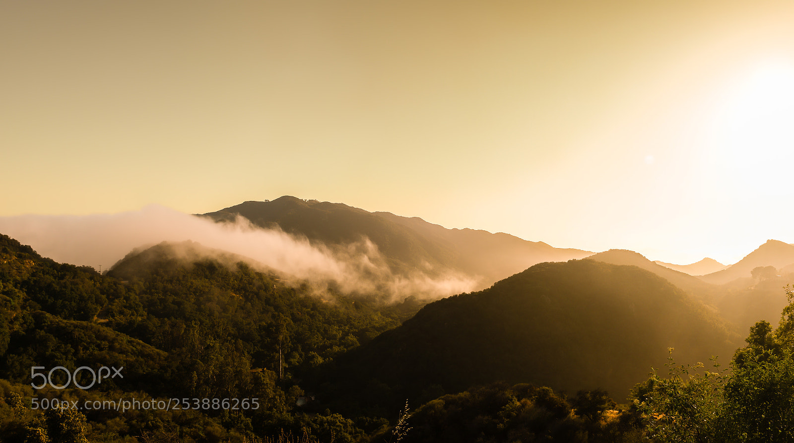 Nikon D810 sample photo. Fog rolling over the photography