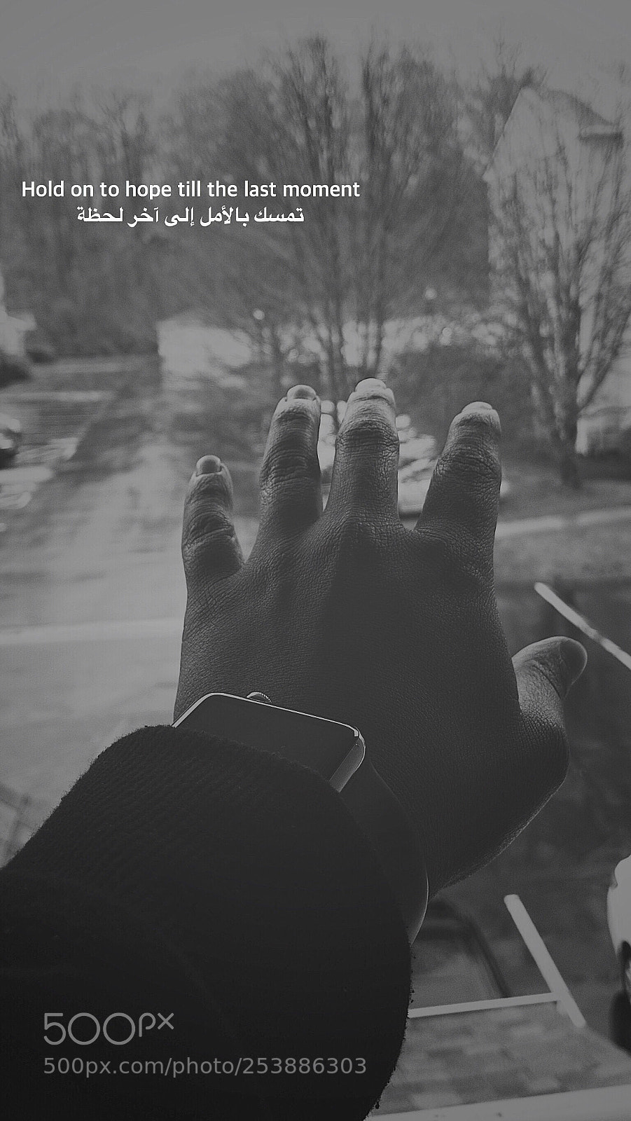 Apple iPhone X sample photo. Untitled photography
