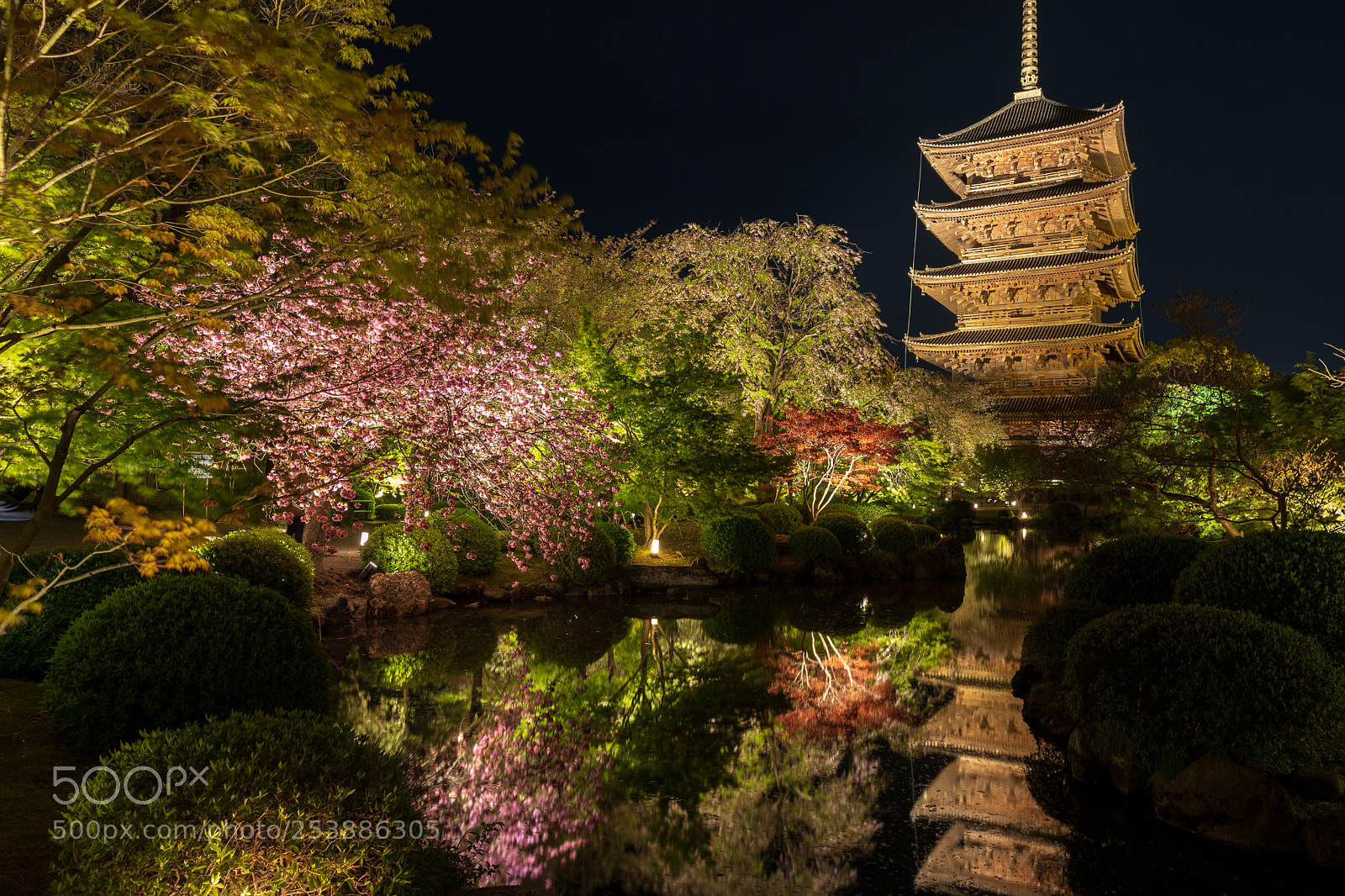 Sony a7 III sample photo. Toji photography