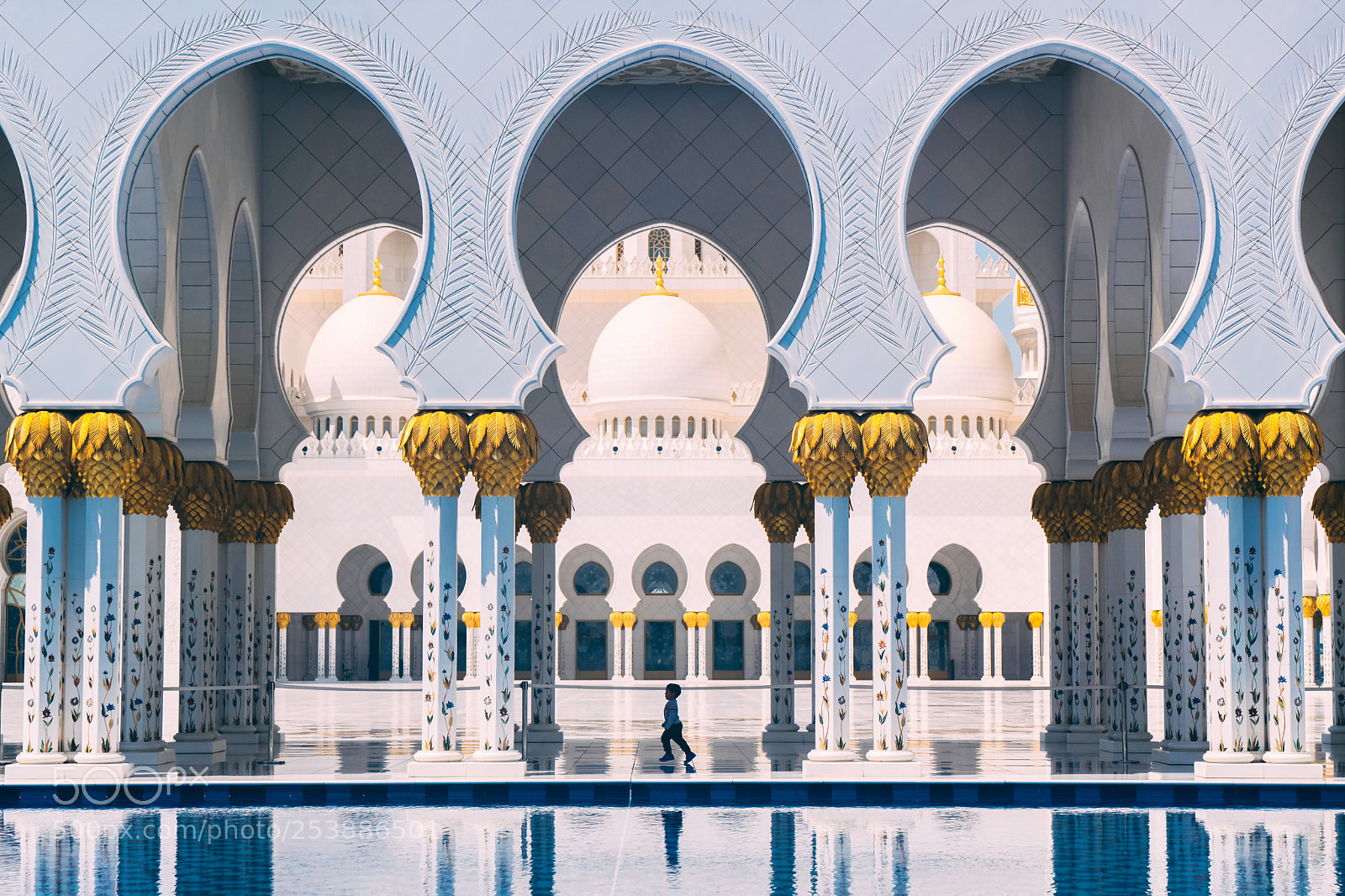 Leica SL (Typ 601) sample photo. Abu dhabi sheikh zayed photography