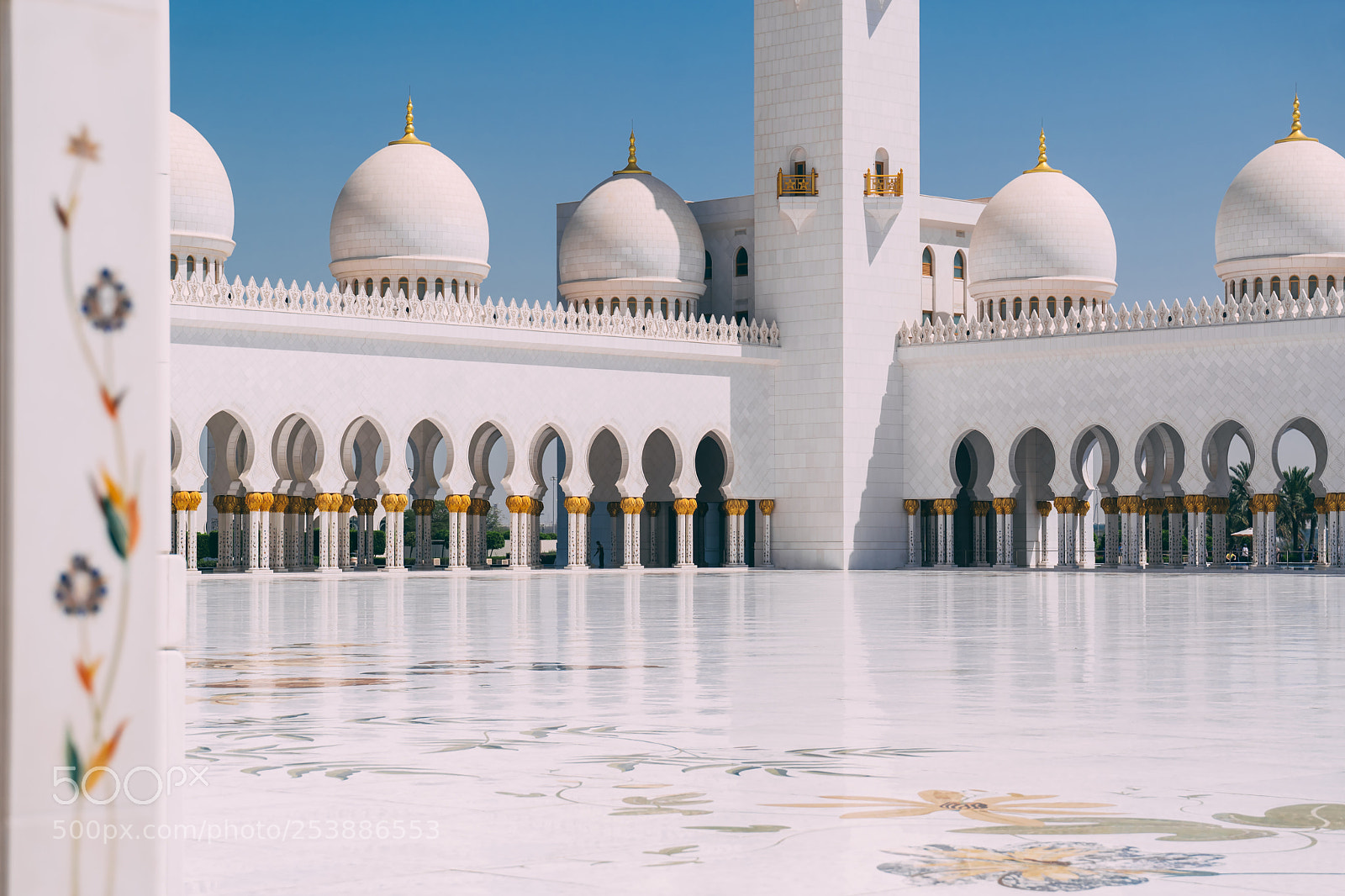 Leica SL (Typ 601) sample photo. Abu dhabi sheikh zayed photography