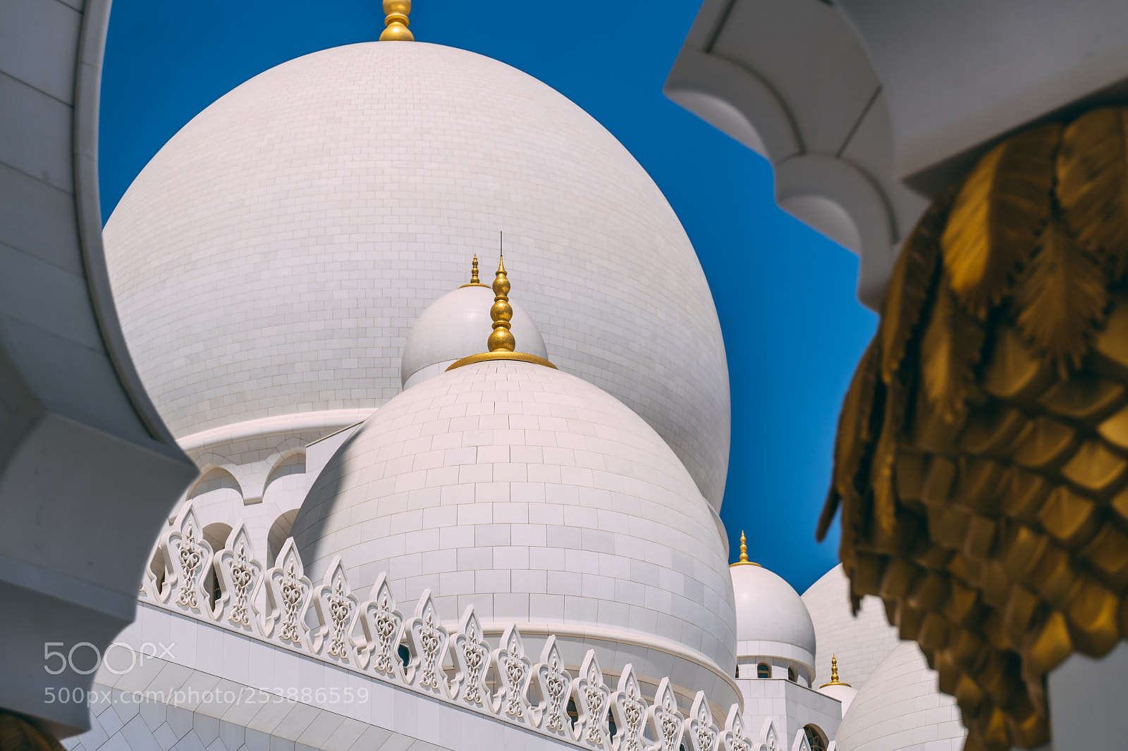 Leica SL (Typ 601) sample photo. Abu dhabi sheikh zayed photography