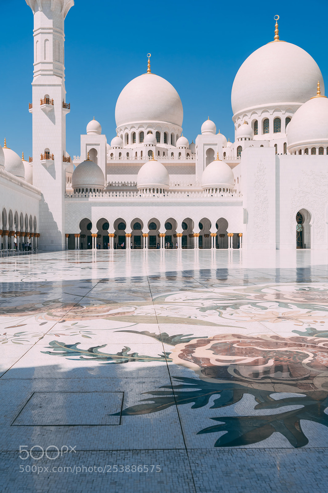Leica SL (Typ 601) sample photo. Abu dhabi sheikh zayed photography
