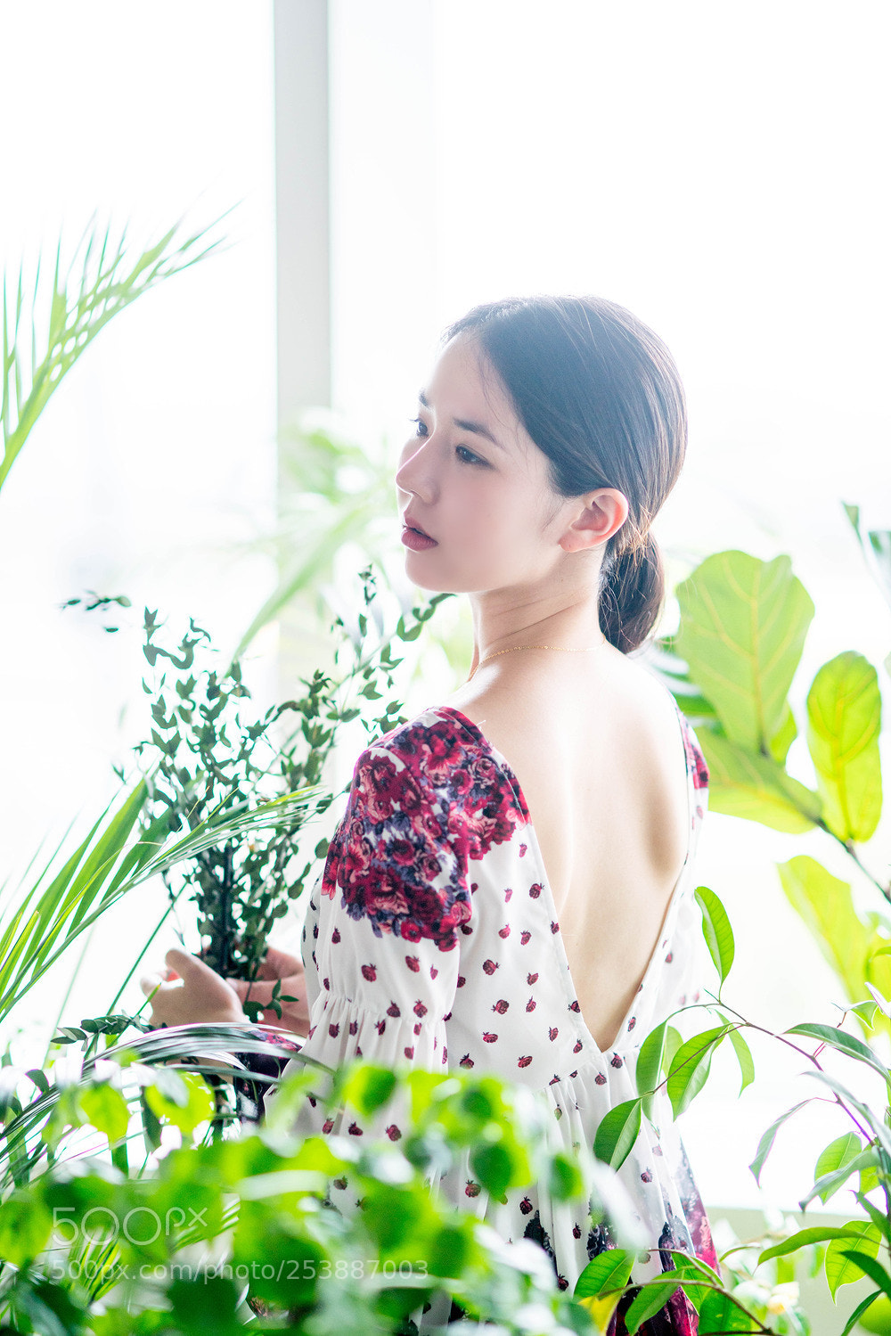 Sony a99 II sample photo. Dsc photography