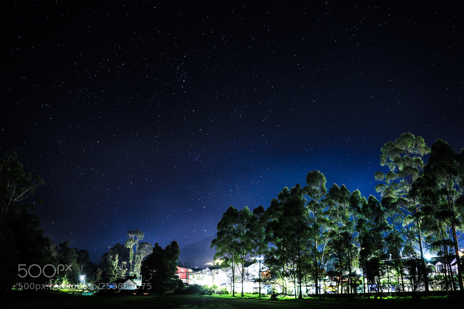Canon EOS 5D Mark IV sample photo. Nuwara eliya starry sky photography