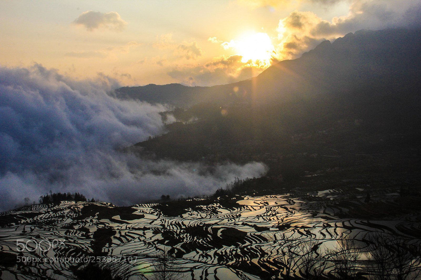 Canon EOS 60D sample photo. Yuanyang duoyishu terraced fields photography