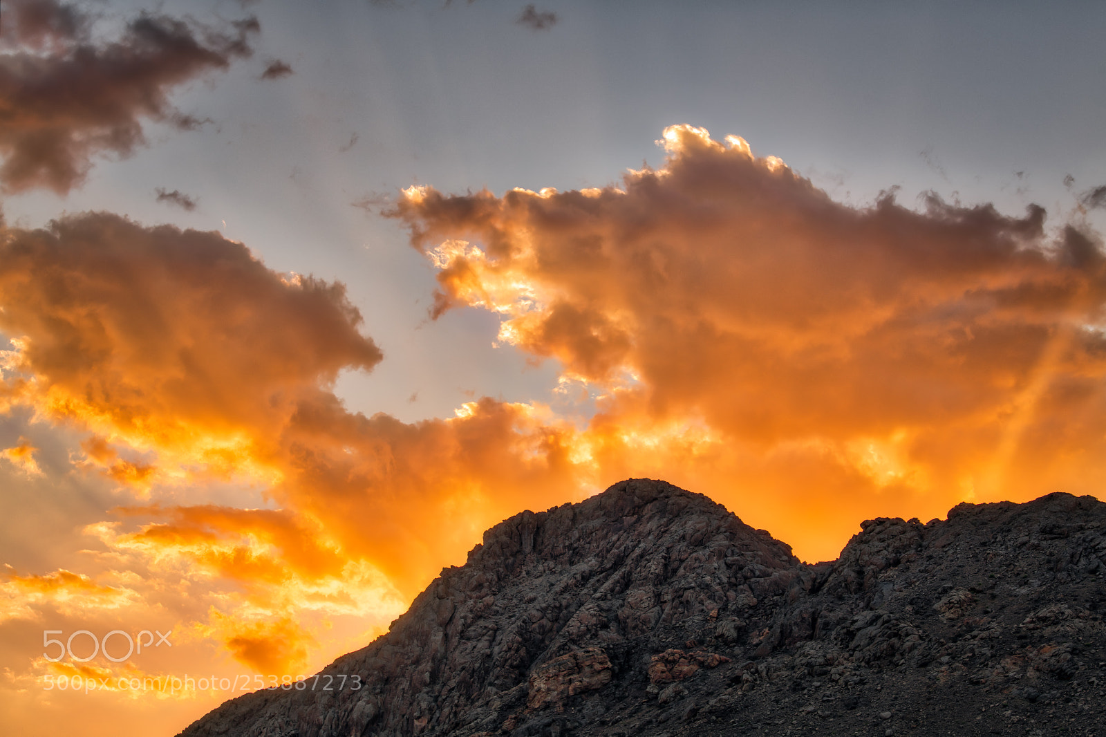 Nikon D850 sample photo. Golden sunset over oman photography