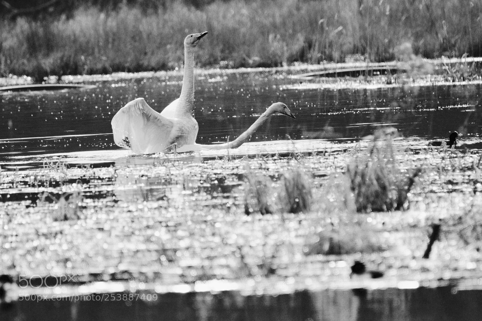 Canon EOS 80D sample photo. Untitled photography
