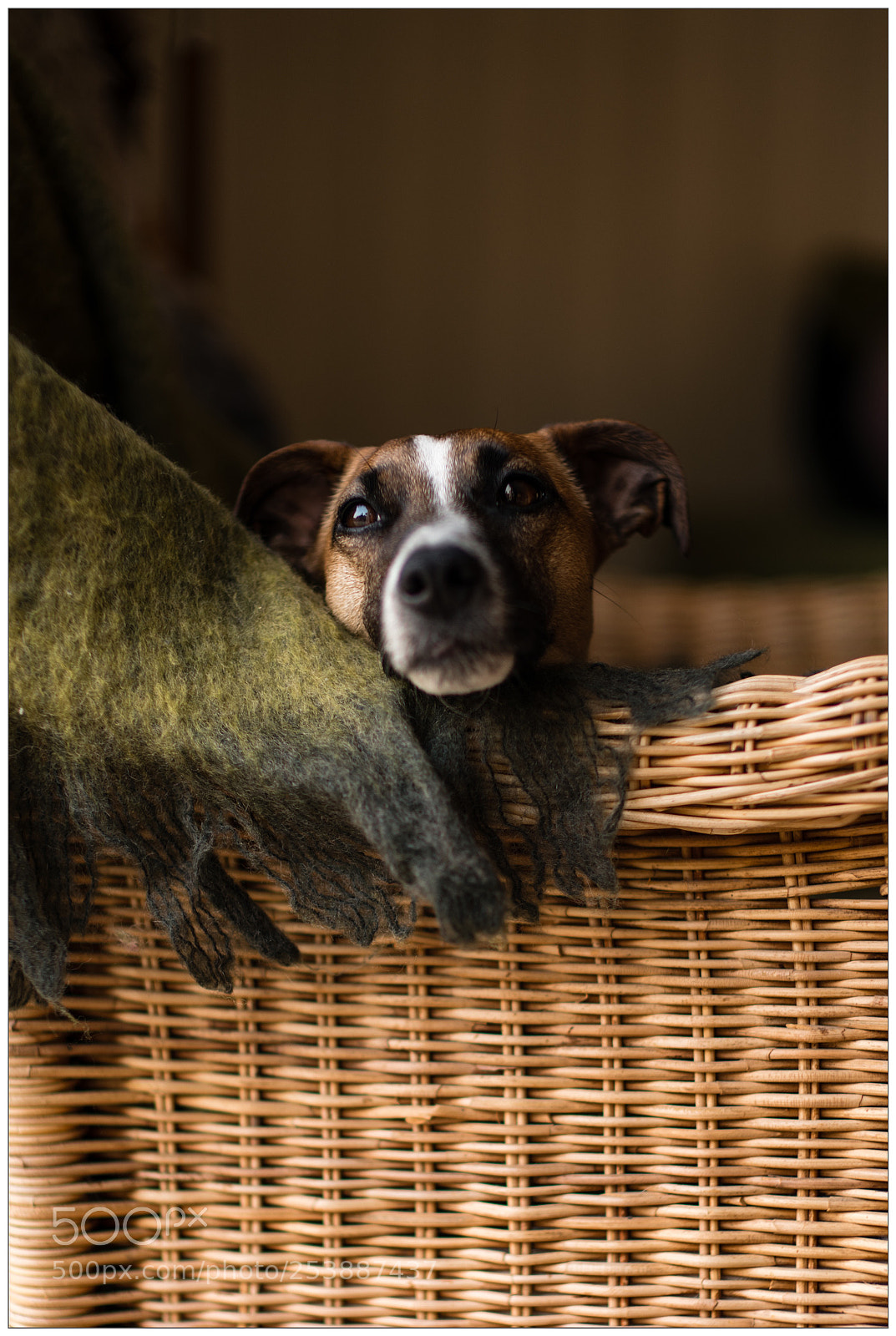 Leica SL (Typ 601) sample photo. Mummy come home photography