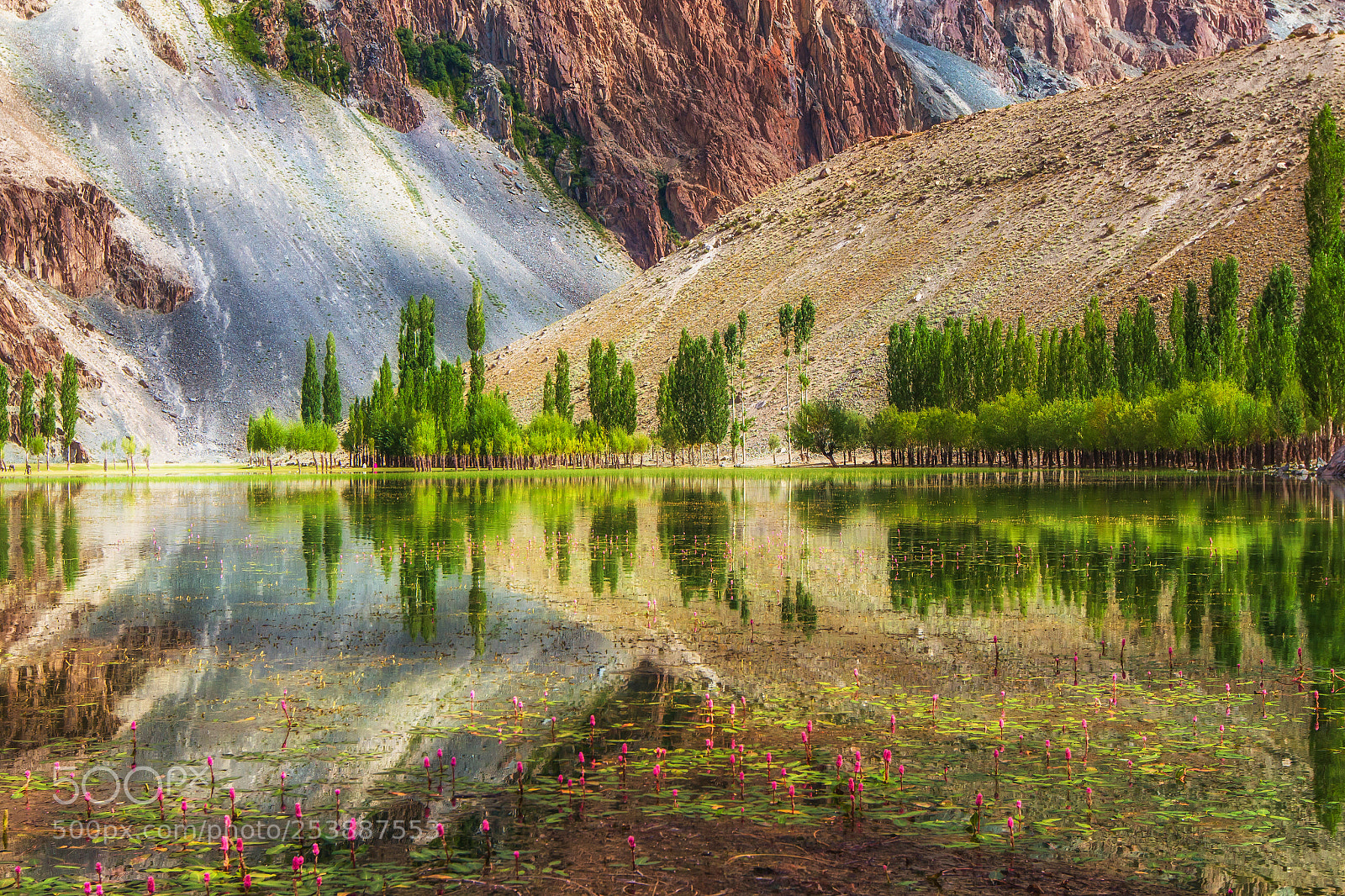 Canon EOS 700D (EOS Rebel T5i / EOS Kiss X7i) sample photo. Phandar lake photography