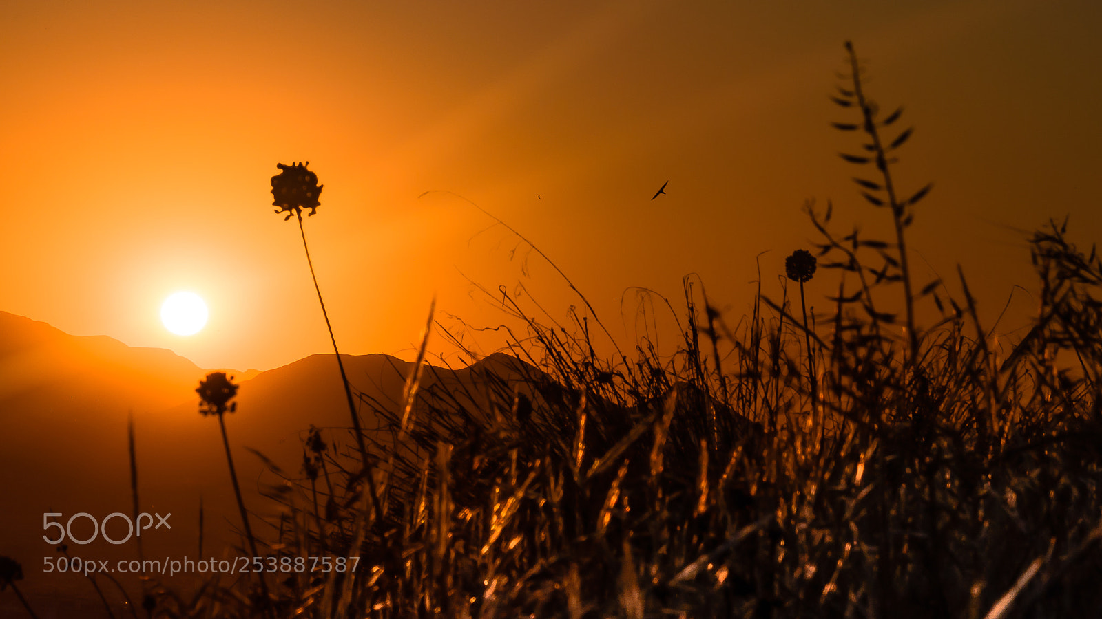 Nikon D810 sample photo. Granada spain sunset bathed photography