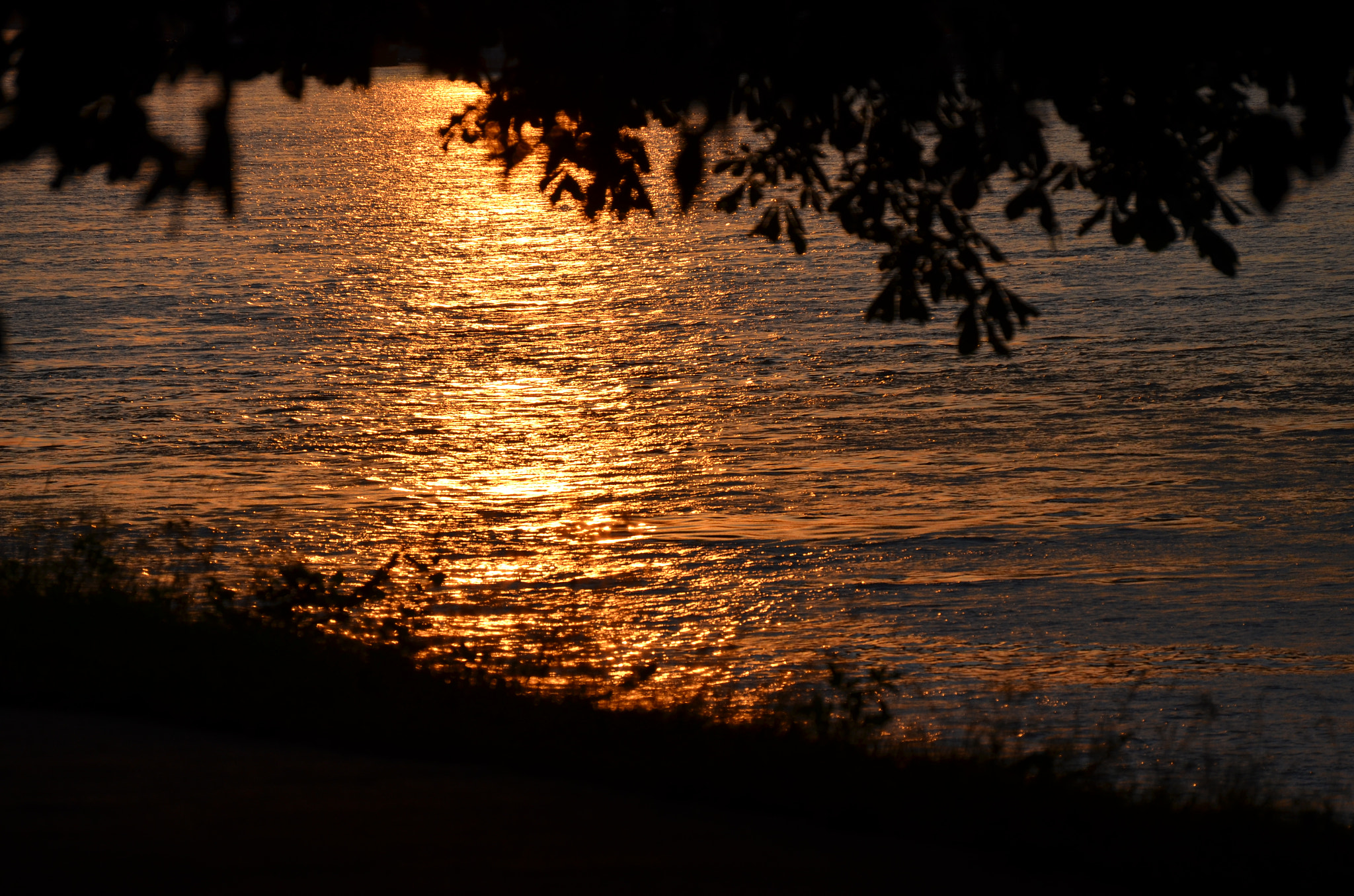 Nikon D5100 sample photo. Bratislava dunaj photography