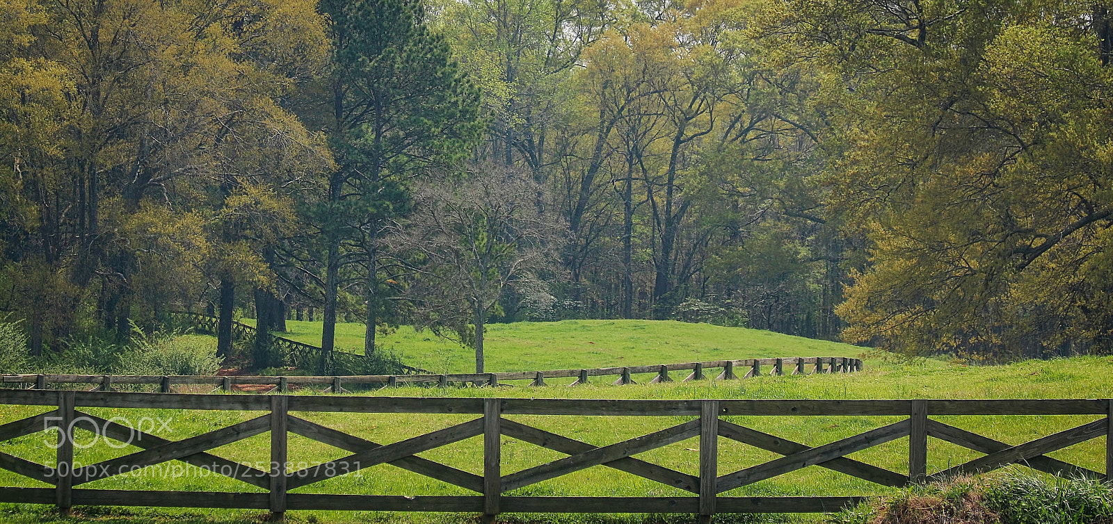 Canon EOS 70D sample photo. Fences photography